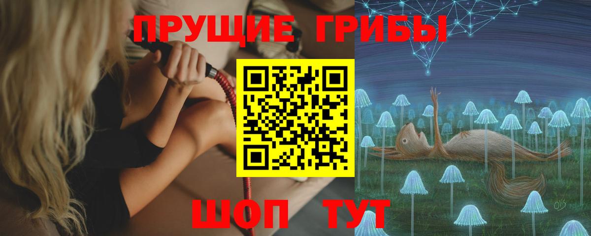 Наро-Фоминск  Псилоцибиновые грибы GOLDEN TEACHER  Вход с VPN 